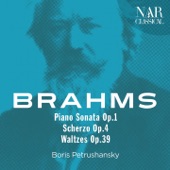 Waltzes, Op. 39: No. 4 in E Minor, Poco sostenuto artwork