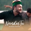 Nandre Tu - Single