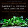 Stephen Harrod Buhner - Sacred and Herbal Healing Beers: The Secrets of Ancient Fermentation