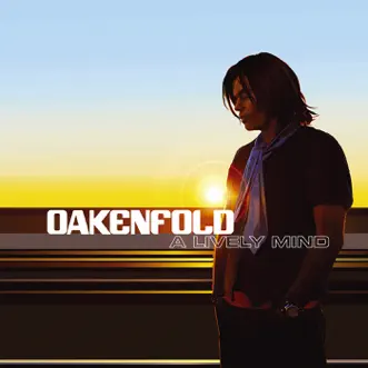 Not Over (feat. Ryan Tedder) by Oakenfold song reviws