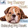 Dog Therapy Music - 5 Hours - Relaxing Dog Music album lyrics, reviews, download