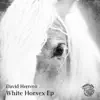 Stream & download White Horsex - Single