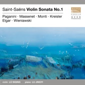 Violin Sonatas & Miniatures artwork