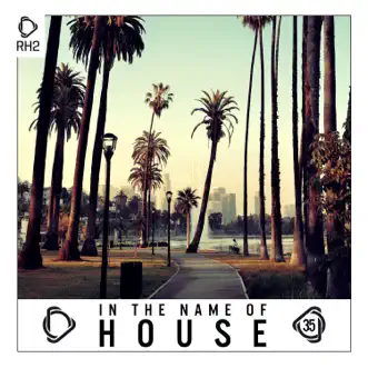 In the Name of House, Vol. 35 by Various Artists album reviews, ratings, credits