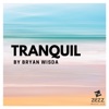 Bryan Wisda - Tranquil