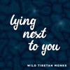 Lying Next To You - Single