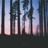 Lost - Single