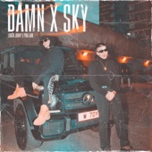 Damn / Sky (feat. PROFJAM) artwork
