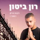 רכבת הרים artwork