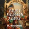 Enjoy Enjaami (Remix) artwork