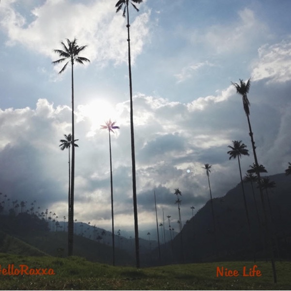 Nice Life - HelloRaxxa