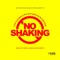 No Shaking (feat. Mayorkun & Peruzzi) - The Flowolf lyrics