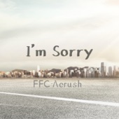 I'm Sorry artwork