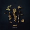 Carmanah - Stand Up