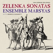 Zelenka: Sonatas artwork
