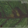 Birîn