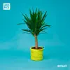 Botany - EP album lyrics, reviews, download