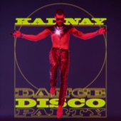 Dance.Disco.Party artwork