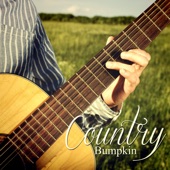 Happy Country Music artwork