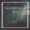 Geneeskrachtig bos - Keltische instrumentale muziek album lyrics, reviews, download
