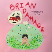 Brian Damage - Too Far