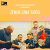 ZENIM SINA SVOG (with NENAD STANOJEVIC FRANCUZ, Branko Vasic & Dusko Vasic) - Single