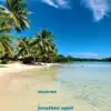 Moorea (feat. Víro, Chris Eisenberg & Bernie Godwin) - Single album lyrics, reviews, download