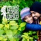 Snehithanevide - Anne Amie lyrics