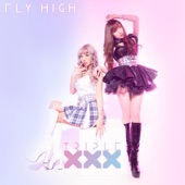 Fly high artwork