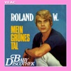 Mein grünes Tal - Single