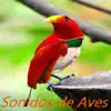 Stream & download Sonidos de Aves