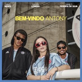 Bem - Vindo Antony artwork