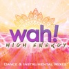 High Energy Dance & Instrumental Mixes Vol. 2