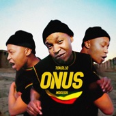 Onus artwork