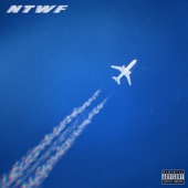 Next Time We're Flying (feat. Bren Joy) artwork