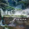 Tierra (feat. Misha Mullov-Abbado, Rainer Scheurenbrand, Matthew Barley, Damian Benedetti & Yoel Brightman) - Single album lyrics, reviews, download