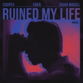 Ruined My Life artwork