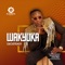 Wakyuka - Geosteady lyrics