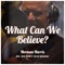 What Can We Believe? (feat. Josh Smith & Grant Geissman) artwork