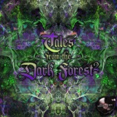 Tales from the dark Forest 2 artwork