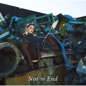 Not the End - EP artwork