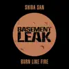 Stream & download Burn Like Fire - Single