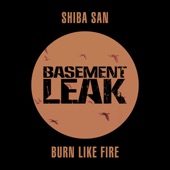 Burn Like Fire by Shiba San