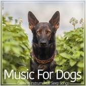 Music For Dogs: Calming Instrumental Sleep Songs artwork