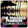 The Paradise Paradigm (Instrumental) - Single album lyrics, reviews, download