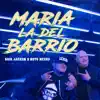 María la del Barrio - Single album lyrics, reviews, download