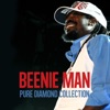 Beenie Man - Bad