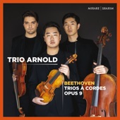 String Trio in D Major, Op. 9 No. 2: I. Allegretto (D Major) artwork