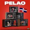 Stream & download Pelao (feat. HOOKAH & RAFA) - Single