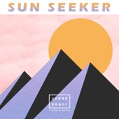 Sun Seeker artwork